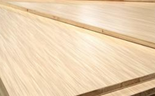 桐木好色先生成人APP为什么会这么引人注目