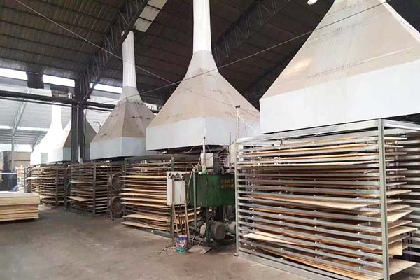 桐木好色先生成人APP材热压机工作现场