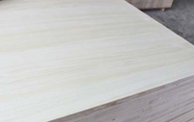 如何防止桐木好色先生成人APP的变色