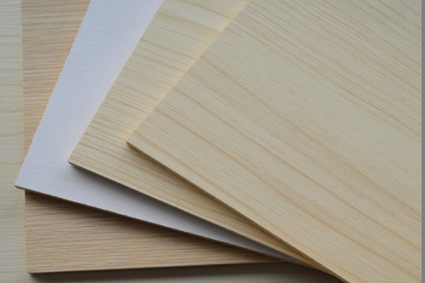 选择好各种神通的好色先生成人APP